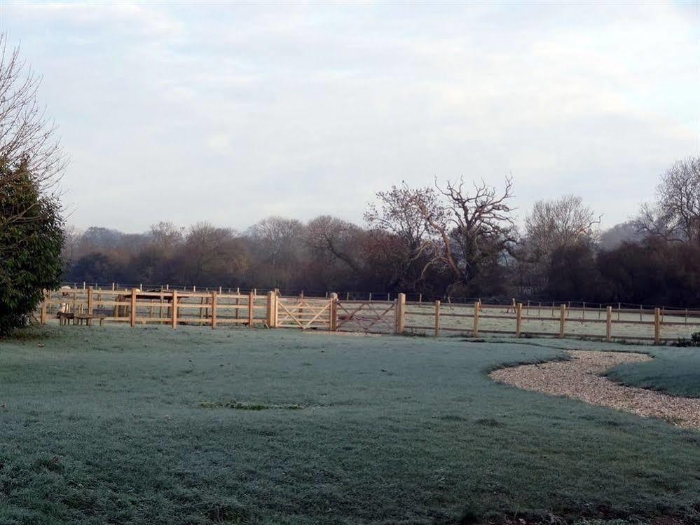 Bed and Breakfast Huxham Farmhouse East Pennard Zewnętrze zdjęcie